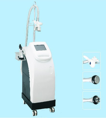 Attrezzature a macchina congelate grasse di bellezza di Cryolipolysis con lo schermo a 8 pollici